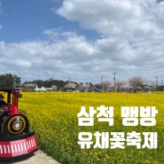 삼척맹방유채꽃축제와 소달초등학교(소달분교 폐교)