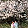 뇨니의 일상기록 - 서울 벚꽃 명소 어린이대공원에서 4월 첫째주 주말 꽃놀이