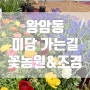 제천 왕암동::미당:봉양::꽃세계 농원,조경, 꽃모종,화분,꽃집