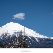 [Mt.Fuji, 富士山] 높아도 하양 낮아도 하양, 후지산