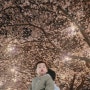 평택대학교 벚꽃 축제 야경 이쁜 주차 푸드트럭 22개월 아기랑