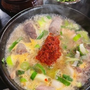 나홀로 점심 농민백암순대 강남역 국밥
