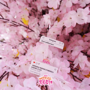2024 에덴벚꽃길 벚꽃축제 1주 차 리뷰