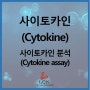 [기초다지기] 사이토카인 (Cytokine)/ 사이토카인 분석 (Cytokine assay)