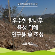 [국립산림과학원 지금] 우수한 참나무 육성 위해 연구용 숲 조성