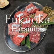 하카타 야끼니꾸맛집 후쿠오카 하라미타스 내돈내산후기, 예약가능한 후쿠오카 야끼니꾸 비추