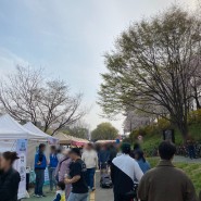 서울 벚꽃 명소 +ㅁ+ 서울 벚꽃축제 양재천