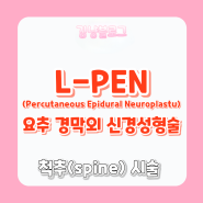 [신경외과 시술] L-PEN(lumbar Percutaneous epidural neuroplasty) 요추경막외신경성형술 신경외과시술정리