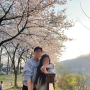 대전 대청댐 벚꽃 금강로하스대청공원 데이트 장소 개화시기 주차장