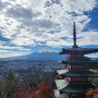 일본 여행(23.11.23~26)