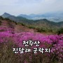 천주산 진달래 / 천주산 최단코스 / 천주암(04월08일)