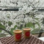 평택카페) 평택봄명소 은혜로 벚꽃길뷰로 유명한 '보아즈맨션'