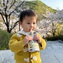 '루솔 유기농두유' 20개월 아기, 든든한 외출간식 추