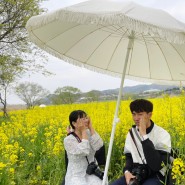 나주 영산강 유채꽃 축제 풍경