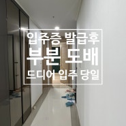 드디어 입주하는 날 - 입주증 발급 당일/ 부분도배/ 컬러선택/ 사이즈 측정