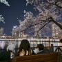 서울 벚꽃명소 2024 석촌호수 벚꽃축제 밤벚꽃 구경