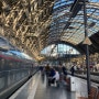 독일, 스위스, 프랑스 유럽 여행기 - 57 ) 파리 동역(Paris Est)에서 떼제베(TGV 9551)고속열차로 프랑크푸르트 메인역(Frankfurt Main Hbf)으로 이동
