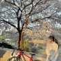 의정부 호원동 벚꽃스팟 / 야장삼겹살