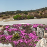 시부모님 산소에 가다