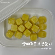 양배추 세척법 초기 중기 이유식 큐브 만들기