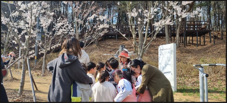 [숲체험활동] 개구리와 도롱뇽 올챙이 알아보기 (2024.04.05.) : 네이버 블로그