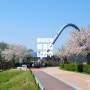 [물의 정원 벚꽃 봄 풍경] 서울 근교 벚꽃 가볼만한 곳, 남양주 벚꽃길
