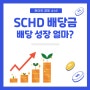 SCHD ETF 배당금 배당 성장 (10년 투자시 수익은?)