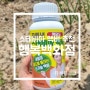 행복백화점 김풍년 스테비아 액비 텃밭 영양제 추천