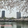 석촌호수 벚꽃놀이 : 뷰맛집 식당 예약 성공 - 롯데마트 장보기 무료주차