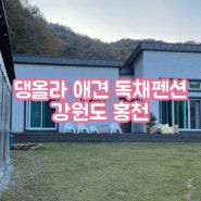 댕올라 애견 독채 펜션 홍천 600평 대형견 리트리버와