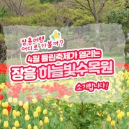 4월 튤립축제가 열리는 <장흥 하늘빛 수목원>