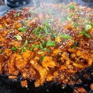 가창 맛집 생생정보 대구 전설의 맛 촌닭구이 전문 대자연식당