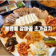 대전 봉명동 맛집 추천 김치 오마카세 갈마골 초가김치