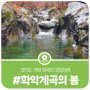 경기도 최북단 청정계곡 화악계곡의 아름다운 봄 풍경