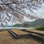 하동 섬진강 습지공원, 대나무 숲길을 걸어보세요