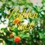 거미 소극장 콘서트 [Hidden Track] 기본정보 티켓팅 예매 가격