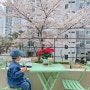 울산 남구 벚꽃 카페 : 어랏커피