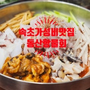 속초가성비맛집 동산항 물회 오징어순대 진짜 최고