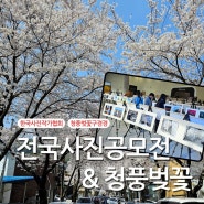 한국사진작가협회 제천 전국사진공모전 보고 청풍 벚꽃구경