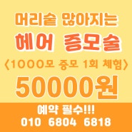 숱없는머리 <헤어증모술> 1000모 가격 50000원