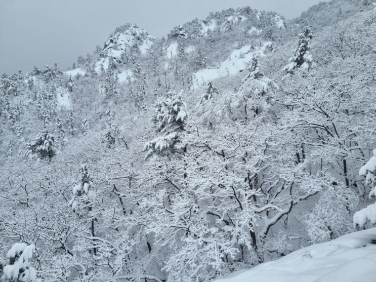 설악 케이블카 주차장과 예약 가격까지 한번에