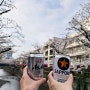 일본 벚꽃 여행, 명소 나카메구로 실시간 만개 (f. 개화시기)
