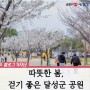 따사로운 봄, 나들이하기 좋은 달성군 명소 소개 :: 옥포생태공원, 테크노폴리스 중앙공원
