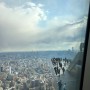 [뉴욕 Day6] 뉴욕 맨해튼 구석구석 구경하기(센트럴파크, 엣지전망대, 첼시마켓)