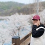 24년 동두천 벚꽃명소 종합운동장 소요산 자유수호평화박물관