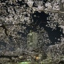 [4월 첫째 주]온천천 벚꽃구경/드벨르마리에/크림카드 청첩장/아브니르 스냅/부산 아이폰스냅