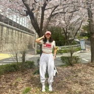 [Daily Look] 핑크룩을 합법적으로 입을 수 있는 벚꽃계절" 닉앤리콜 버터플라이 핑크 볼캡 / SHEIN 핑크셔츠