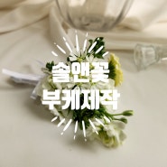 「솔앤꽃」 대구 꽃집추천 부케 당일제작(애견동반가능)