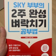 책리뷰 - SKY 부부의 2주 완성 벼락치기 공부법 / 안예찬, 고선희