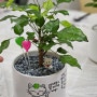 부산 창원 초등학교 식목일 특별활동 식물심기 원예체험